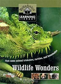 Wildlife Wonders: Visit Some Animal Tricksters, Rarities and Homebodies