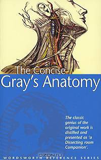 The Concise Gray