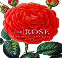 The Rose