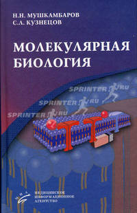 Молекулярная биология. Гриф УМО по медицинскому образованию