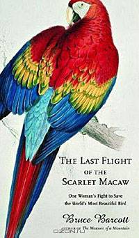 The Last Flight of the Scarlet Macaw: One Woman