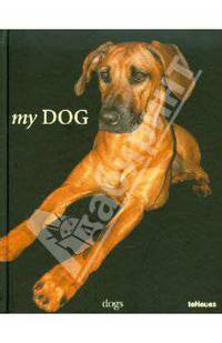 My Dog