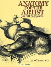 Anatomy for the Artist (Spiral Edition)