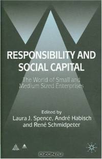 Responsibility and Social Capital : The World of Small and Medium Sized Enterprises (Anglo-German Foundation for the Study of Industrial Society)