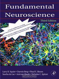 Stroke: Practical Management