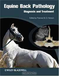Equine Back Pathology: Diagnosis and Treatment