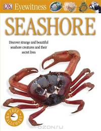 Seashore