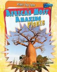 Africa