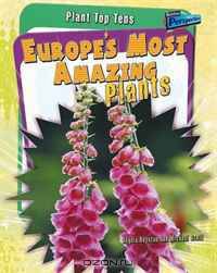 Europe