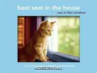 Best Seat in the House: Cats in Their Windows