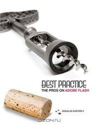 Best Practice: The Pros on Adobe Flash