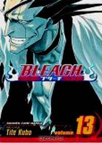 Bleach, Volume 13
