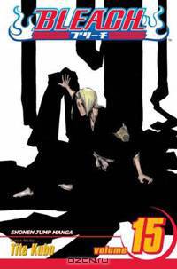 Bleach, Volume 15