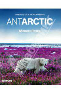 Antarctic