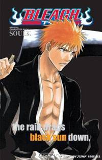 Bleach SOULs. Official Character Book