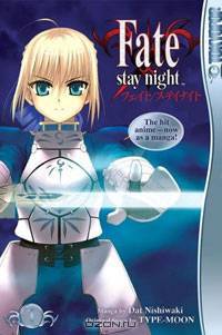Fate/stay night Volume 1
