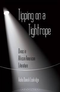 Tipping on a Tightrope (African American Literature and Culture: Expanding and Exploding the Boundaries)