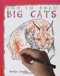 Big Cats (How to Draw)