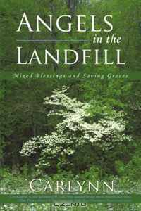 Angels in the Landfill: Mixed Blessings and Saving Graces