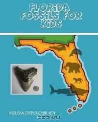 Florida Fossils for Kids