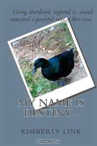 My Name is Destiny...