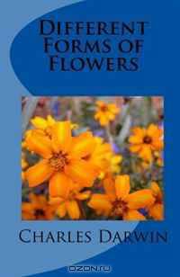 Different Forms of Flowers