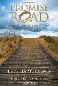 Promise Road: Walking through the Process that Manifests the Promise