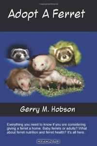 Adopt A Ferret: Everything you need to know if you are considering owning a ferret. Baby ferrets or adults? What about ferret nutrition and ferret health? It