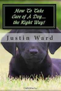 How To Take Care of A Dog...the Right Way!