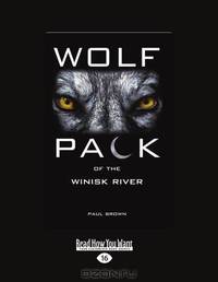 Wolf Pack Of The Winisk River