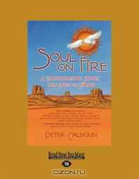 Soul on Fire: A Transformational Journey From Priest to Shaman