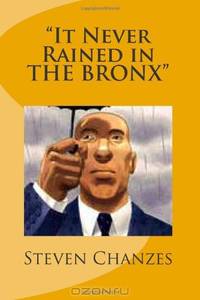 "It Never Rained in THE BRONX"