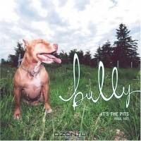 Bully : The Pits