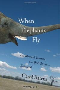 When Elephants Fly: One Woman