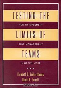 Testing the Limits of Teams: How to Implement Self-Management in Health Care