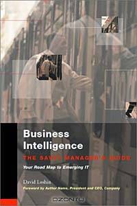 Business Intelligence: The Savvy Manager