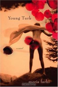 Young Turk : A Novel