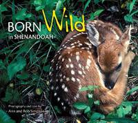 Born Wild in Shenandoah