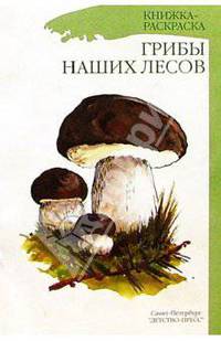 Грибы наших лесов/раскраска