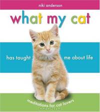 What My Cat Has Taught Me About Life