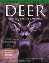Deer: The Ultimate Artist