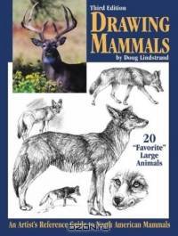 Drawing Mammals : An Artist