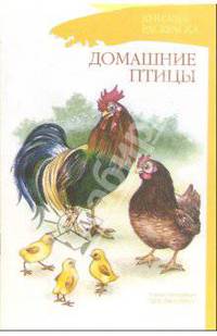 Домашние птицы. Книжка-раскраска для дошкольников