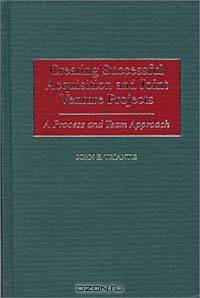 Creating Successful Acquisition and Joint Venture Projects : A Process and Team Approach