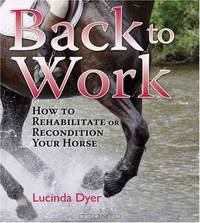 Back to Work: How to Rehabilitate or Recondition Your Horse