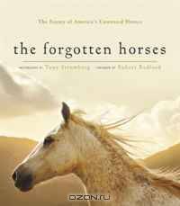 The Forgotten Horses: The Beauty of America