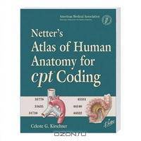 Nettler