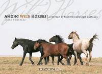 Among Wild Horses: A Portrait of the Pryor Mountain Mustangs