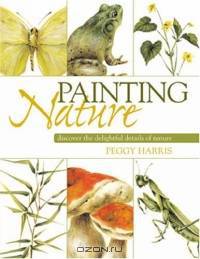 Painting Nature: Discover The Delightful Details Of Nature