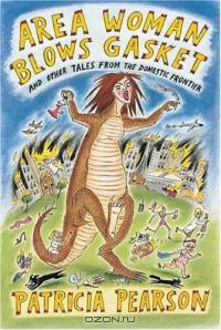 Area Woman Blows Gasket : And Other Tales from the Domestic Frontier